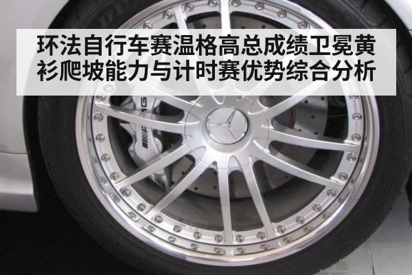 环法自行车赛温格高总成绩卫冕黄衫爬坡能力与计时赛优势综合分析