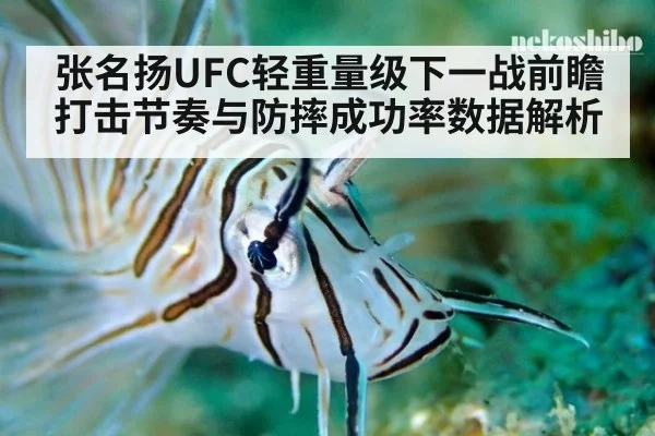 张名扬UFC轻重量级下一战前瞻 打击节奏与防摔成功率数据解析